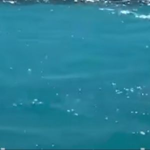 Meet your Posher, Jillian